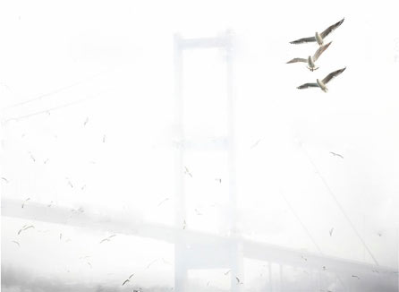 Sandsa | Hakkımızda